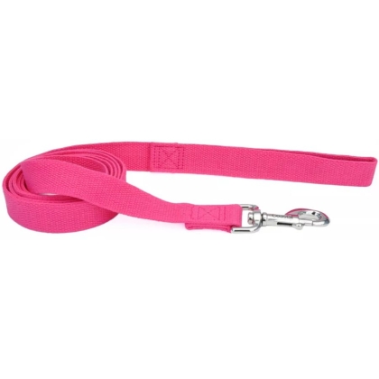 Coastal Pet New Earth Soy Dog Lead Fuchsia - 6 feet x 5/8\