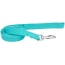 Coastal Pet New Earth Soy Dog Lead Mint Green - 6 feet x 5/8