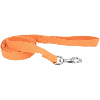 Coastal Pet New Earth Soy Dog Lead Pumpkin Orange - 6 feet x 5/8\