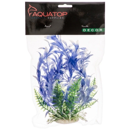 Aquatop Bacopa Aquarium Plant - Blue & White - 6\