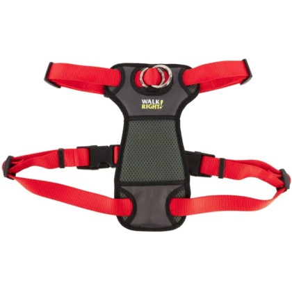 Coastal Pet Walk Right Padded Dog Harness Red