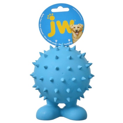 JW Pet Spiky Cuz Dog Toy