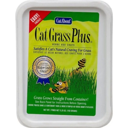 Gimborn Cat-A'bout Cat Grass Plus Multi-Cat