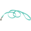 Coastal Pet Single-ply Teal Nylon Dog Lead - 6'L x 5/8