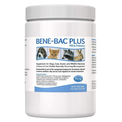 Pet Ag Bene-Bac Plus Pet Powder