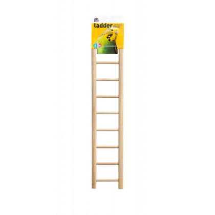 Prevue Birdie Basics Ladder