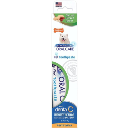 Nylabone Advanced Oral Care Natural Toothpaste - Peanut Flavor
