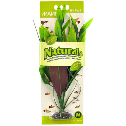 Marina Silk Pickerel Aquarium Plant - Green