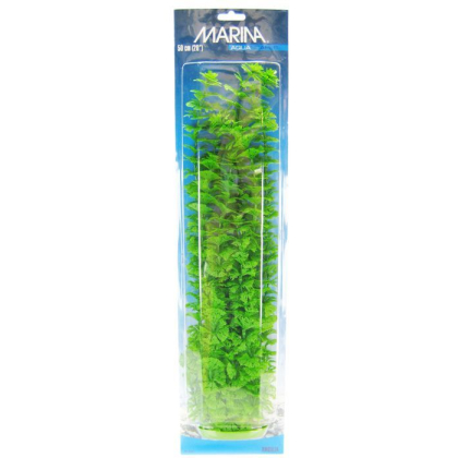Marina Aquascaper Ambulia Plant